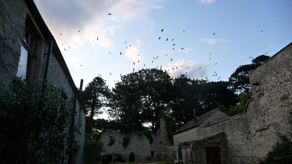 The Priory Bed & Breakfast Middleham Dış mekan fotoğraf